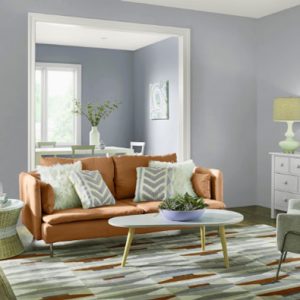INTERIOR EMULSION